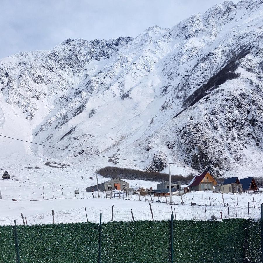 Mood Villa Kazbegi Esterno foto